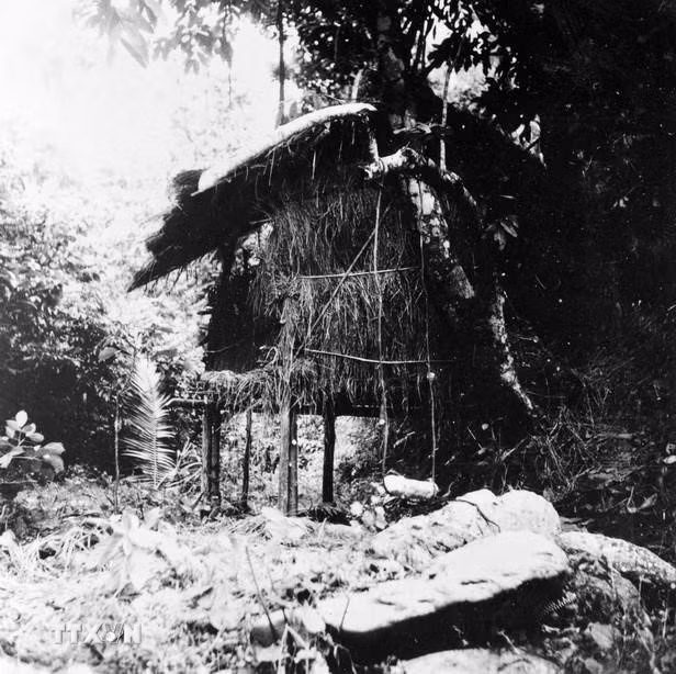 Chỉ 4 tháng sau khi về nước (từ ngày 10/5 đến ngày 19/5/1941), Chủ tịch Hồ Chí Minh đã triệu tập Hội nghị Ban Chấp hành Trung ương lần thứ 8 (khóa I) của Đảng tại Khuổi Nặm, Pác Bó, Cao Bằng, quyết định đặt nhiệm vụ giải phóng dân tộc lên hàng đầu và thành lập Mặt trận Việt Minh. (Ảnh: TTXVN)