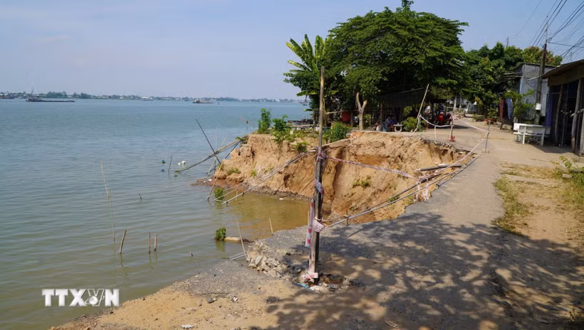 Một trong những điểm sạt lở bờ sông Tiền (thuộc ấp Long Thạnh, xã Long Phú Thuận) ăn sâu vào tuyến đường nhựa liên xã. (Ảnh: Nhựt An/TTXVN)