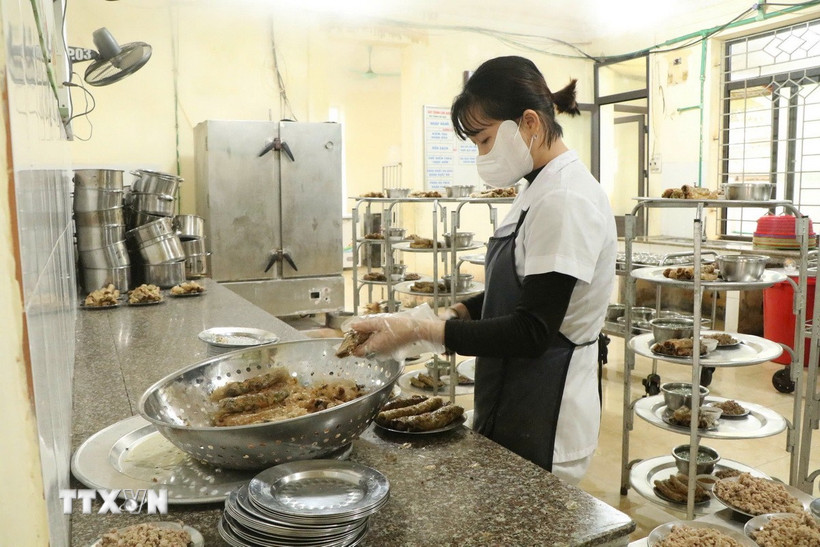 Chế biến suất ăn tại trường học. (Ảnh minh họa: Nguyễn Thảo/TTXVN)