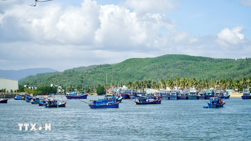 Ngư dân vươn khơi xuyên Tết tại cửa biển Tam Quan. (Ảnh: Sỹ Thắng/TTXVN)