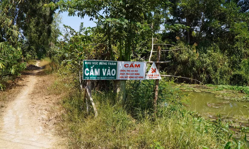Nhiều bảng cấm và cảnh báo đặt tại các lối vào Rừng tràm Gáo Giồng (Đồng Tháp). (Ảnh: Nhựt An/TTXVN)