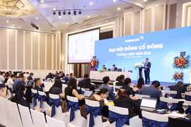 Toàn cảnh Đại hội đồng cổ đông Eximbank diễn ra sáng ngày 29/4. (Ảnh: Vietnam+)
