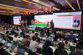 Ngân hàng HDBank đặt mục tiêu lợi nhuận 2025 hơn 21.000 tỷ đồng. (Ảnh: Vietnam+)