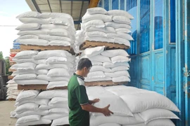 Yêu cầu ngân hàng cung ứng vốn phục vụ sản xuất, thu mua tạm trữ lúa gạo. (Ảnh: Vietnam+)