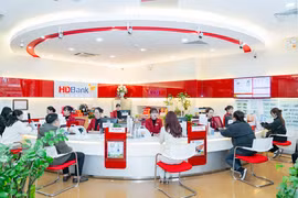 HDBank là ngân hàng duy nhất ưu đãi lãi suất cho vay mua nhà đến 50 năm. (Ảnh: Vietnam+)