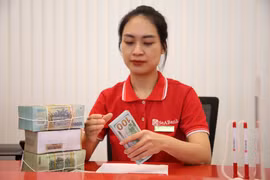 Ngân hàng Nhà nước tăng trần vốn ngắn hạn cho vay dài hạn. (Ảnh: Vietnam+)