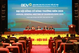 Các cổ đông tham dự Đại hội đồng cổ đông BIDV. (Ảnh: Vietnam+)