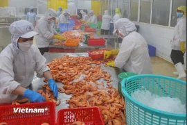 Chuyên gia HSBC nhận định kinh tế Việt Nam tăng trưởng nhanh nhất ASEAN. (Ảnh: Vietnam+)