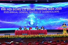 VietinBank tăng mạnh vốn điều lệ và bầu bổ sung nhân sự vào Hội đồng quản trị. (Ảnh: Vietnam+)