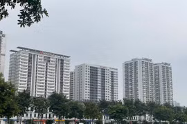 Người dưới 35 tuổi được vay lãi suất ưu đãi mua nhà ở xã hội. (Ảnh: Vietnam+)
