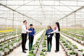 Agribank khẳng định vai trò trụ cột tài chính, tạo đà bứt phá cho kỷ nguyên phát triển mới