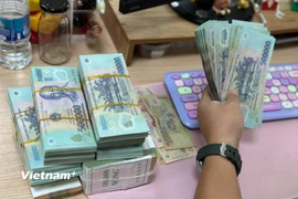 Chuyên gia UOB nhận định tỷ giá và lãi suất sẽ là biến số quan trọng của kinh tế Việt Nam năm 2026. (Ảnh: Vietnam+)