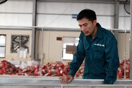 Anh Nguyễn Văn Ba, Giám đốc Hợp tác xã Việt Cường vẫn còn bần thần về những gì đang xảy ra. (Ảnh: Vietnam+)