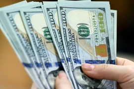 Một trong những yếu tố đáng chú ý trong năm 2025 là sự trở lại của biến động tỷ giá. (Ảnh: Vietnam+)