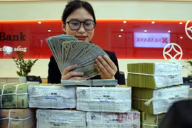 Tỷ giá liên tục tăng trong những ngày gần đây. (Ảnh: Vietnam+)