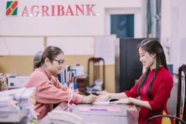 Agribank tung gói tín dụng ưu đãi 10.000 tỷ đồng giúp người trẻ dễ dàng tiếp cận nguồn vốn mua nhà ở. (Ảnh: Vietnam+)
