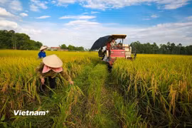 ADB thu xếp cho BIDV 250 triệu USD hỗ trợ nông nghiệp bền vững và trao quyền cho phụ nữ làm chủ ở Việt Nam. (Ảnh: Vietnam+)