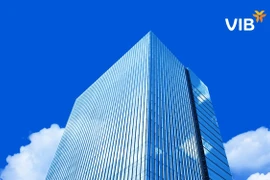 VIB 29 năm - hành trình sáng tạo, nâng tầm trải nghiệm cho triệu khách hàng Việt. (Ảnh: Vietnam+)