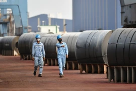 Hòa Phát nộp ngân sách 7.100 tỷ đồng tại 20 tỉnh, thành trên cả nước. (Ảnh: Vietnam+)