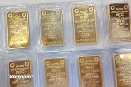 (Nguồn: Vietnam+)