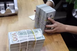 Kiều hối - Nguồn lực quan trọng để phát triển kinh tế xã hội. (Ảnh: Vietnam+)