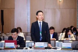 Thành viên HĐQT VietinBank Lê Thanh Tùng khẳng định: Bên cạnh chuyển đổi số, chiến lược xanh là một trong những chiến lược quan trọng của VietinBank. (Ảnh: Vietnam+)