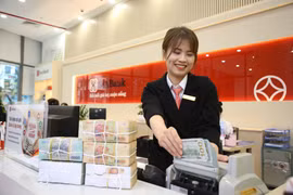 Ngân hàng SeABank gây ấn tượng mạnh khi lợi nhuận trước thuế tăng vọt 2.884 tỷ đồng. (Ảnh: Vietnam+)