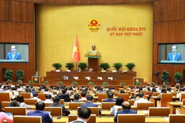 Chủ nhiệm Ủy ban Pháp luật và Tư pháp của Quốc hội Phan Chí Hiếu trình bày Báo cáo thẩm tra về dự án Luật Thủ đô (sửa đổi). (Ảnh: Dương Giang/TTXVN)