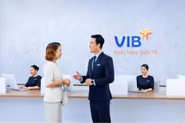 VIB triển khai giải pháp tài chính dành cho doanh nghiệp vừa và nhỏ. (Ảnh: Vietnam+)