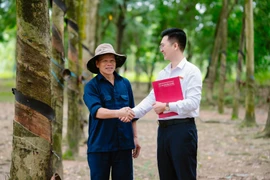 Agribank đồng hành cùng hộ kinh doanh chuyển đổi thành doanh nghiệp. (Ảnh: Vietnam+)