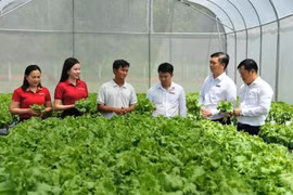 Đến nay, đã có 82 tổ chức tín dụng tham gia cấp tín dụng xanh với tổng dư nợ hơn 828.000 tỷ đồng. (Ảnh: Vietnam+)