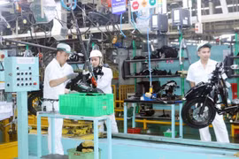 Doanh nghiệp FDI tại Ninh Bình. (Ảnh: Vietnam+)