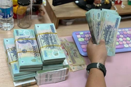 Hộ nông dân được vay tối đa 300 triệu đồng không tài sản thế chấp. (Ảnh: Vietnam+)