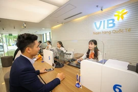 VIB dự kiến chào bán 4.000 tỷ đồng trái phiếu để tăng vốn cấp 2. (Ảnh: Vietnam+)