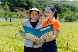 SACOMBANK giảm 0,5% lãi suất theo chủ chương của Ngân hàng Nhà nước. (Ảnh: Vietnam+)