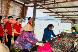 Ngân hàng Nhà nước triển khai gói tín dụng 100.000 tỷ đồng cho lĩnh vực nông, lâm, thủy sản nhằm hỗ trợ sản xuất, giảm chi phí vốn cho người dân. (Ảnh: Vietnam+)