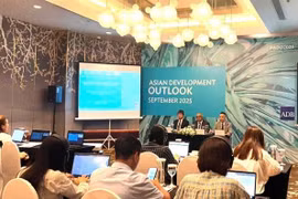 Quang cảnh tại buổi họp báo. (Ảnh: Vietnam+)