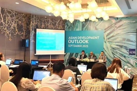 Quang cảnh tại buổi họp báo. (Ảnh: Vietnam+)