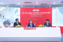MSB tăng vốn điều lệ lên 31.200 tỷ đồng nhằm hỗ trợ hoạt động kinh doanh. (Ảnh: Vietnam+)