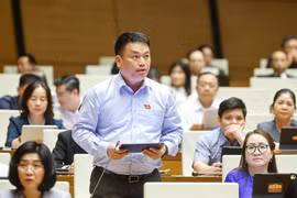 Đại biểu Quốc hội tỉnh Quảng Ngãi Đặng Ngọc Huy phát biểu. Ảnh: Doãn Tấn - TTXVN