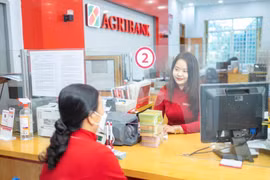 Agribank tiên phong giảm đồng thời cả lãi suất cho vay và tiền gửi. (Ảnh: Vietnam+)