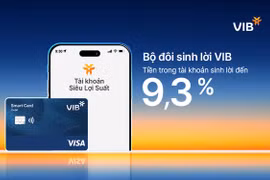 Bộ đôi sinh lời VIB - Giải pháp tài chính tối ưu dòng tiền đến 9,3%. (Ảnh: Vietnam+)