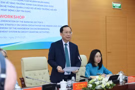 Phó Thống đốc Ngân hàng Nhà nước Đào Minh Tú phát biểu tại tọa đàm. (Ảnh: Vietnam+)