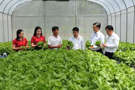 Agribank mở rộng vốn tín dụng ưu đãi lĩnh vực nông, lâm, thủy sản lên 20.000 tỷ đồng. (Ảnh: Vietnam+)