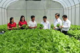 Agribank mở rộng vốn tín dụng ưu đãi lĩnh vực nông, lâm, thủy sản lên 20.000 tỷ đồng. (Ảnh: Vietnam+)