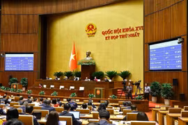 Quốc hội biểu quyết thông qua Nghị quyết của Quốc hội về phát triển văn hoá Việt Nam. (Ảnh: Doãn Tấn/TTXVN)
