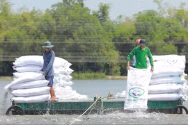 Agribank đã đăng ký triển khai chương trình tín dụng ưu đãi lĩnh vực nông, lâm, thủy sản quy mô 20.000 tỷ đồng. (Ảnh: Vietnam+)