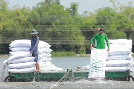Agribank đã đăng ký triển khai chương trình tín dụng ưu đãi lĩnh vực nông, lâm, thủy sản quy mô 20.000 tỷ đồng. (Ảnh: Vietnam+)
