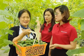 Agribank dành 50.000 tỷ đồng ưu đãi lãi suất tiếp sức hộ kinh doanh. (Ảnh: Vietnam+)