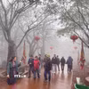 (Ảnh minh họa. Nguồn: Vietnam+)